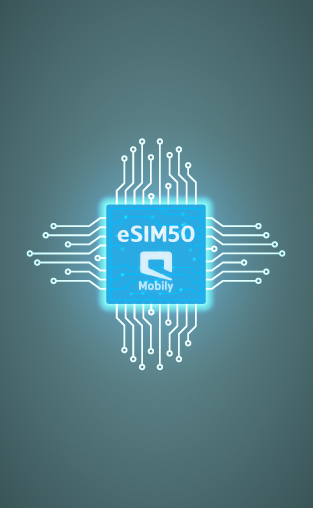 This is the alternative text for the image 